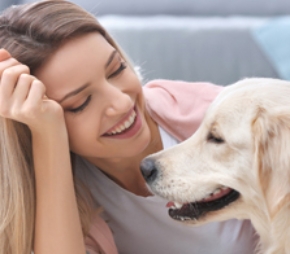 Afbeelding voor categorie Shop op vachttype