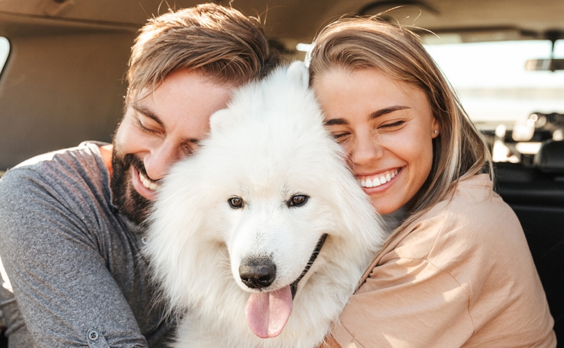 Help, my dog smells!